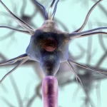 Cannabis as a Treatment for Multiple Sclerosis